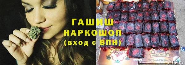 a pvp Белокуриха
