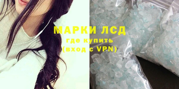 гашик Осташков