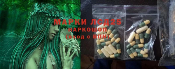a pvp Белокуриха